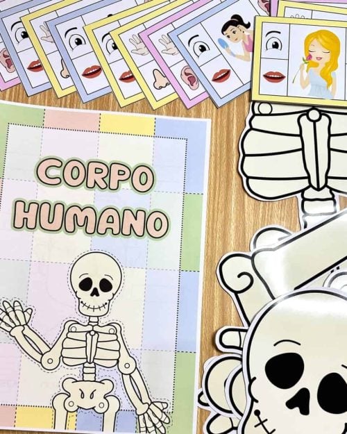 Kit Corpo Humano - Recursos Educacionais
