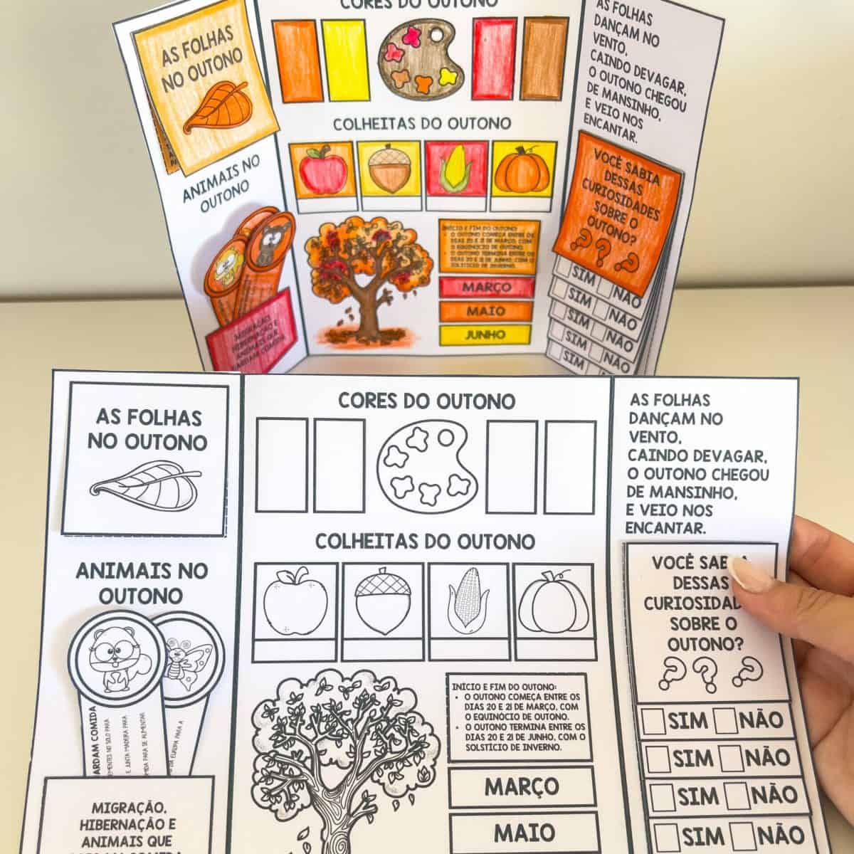 Lapbook de Outono - Outono