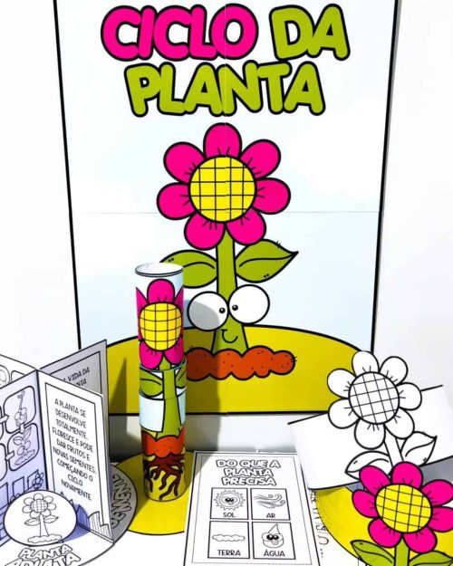 Kit Ciclo da Planta - Ciências